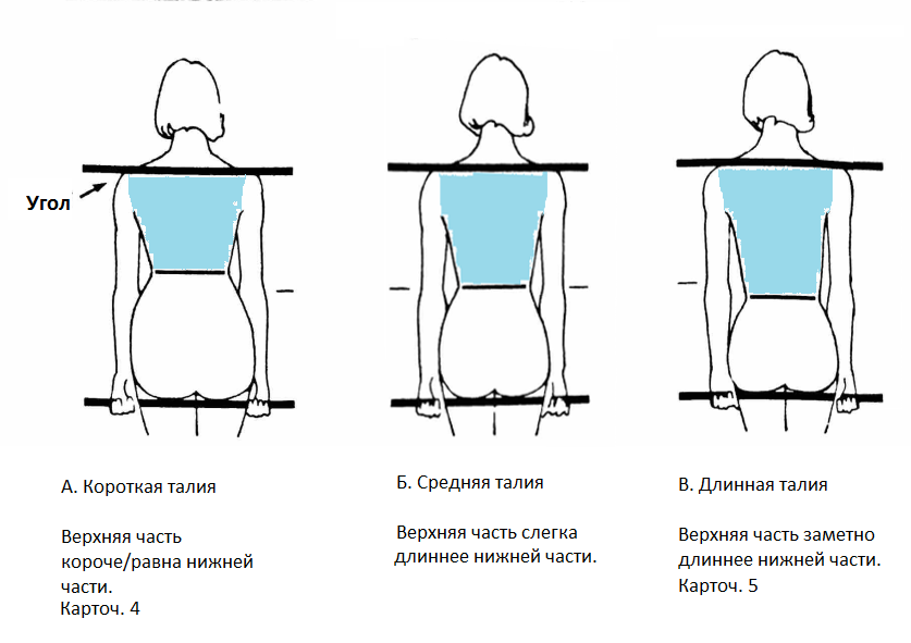 Средняя талия